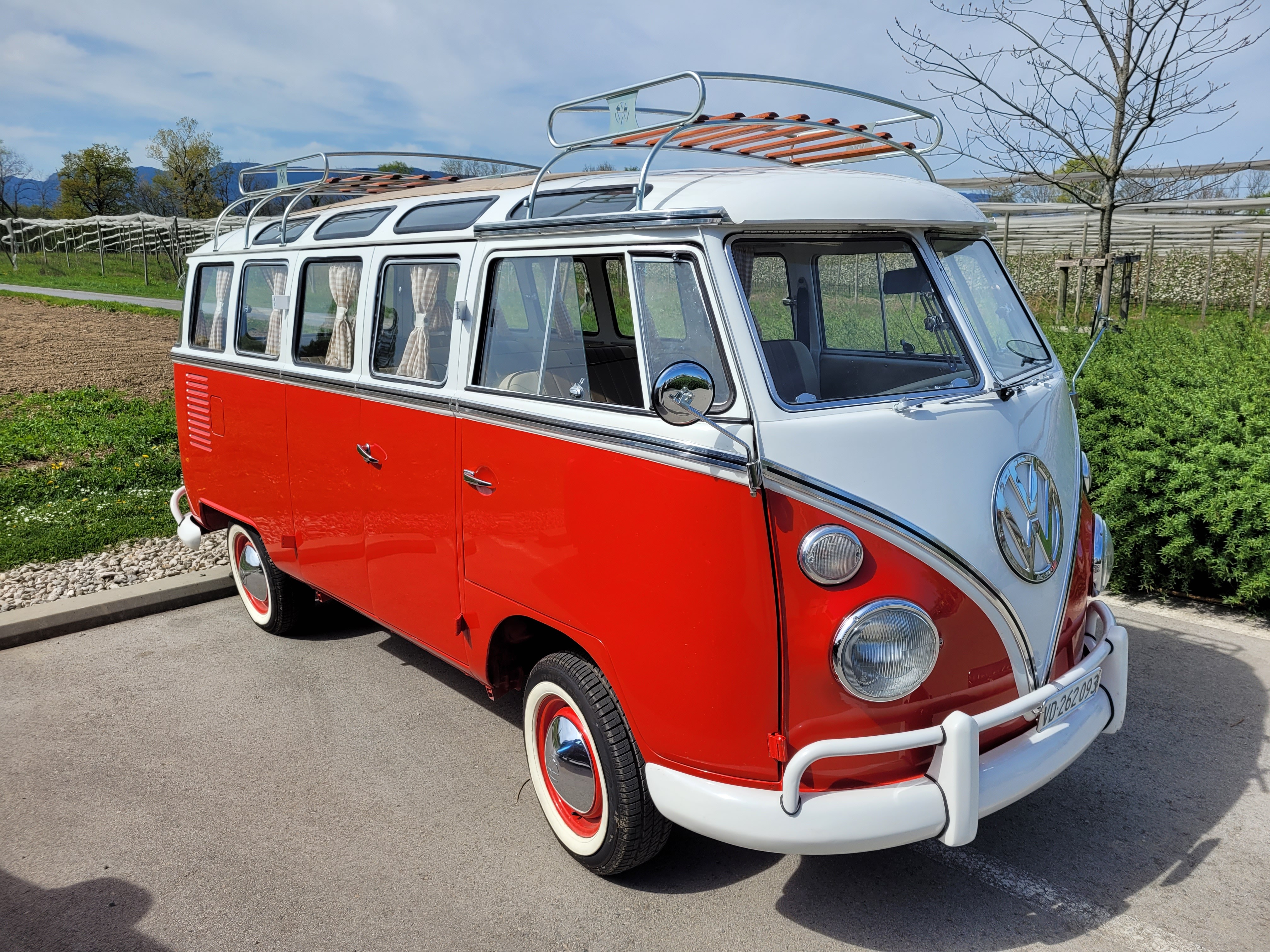 VW T1