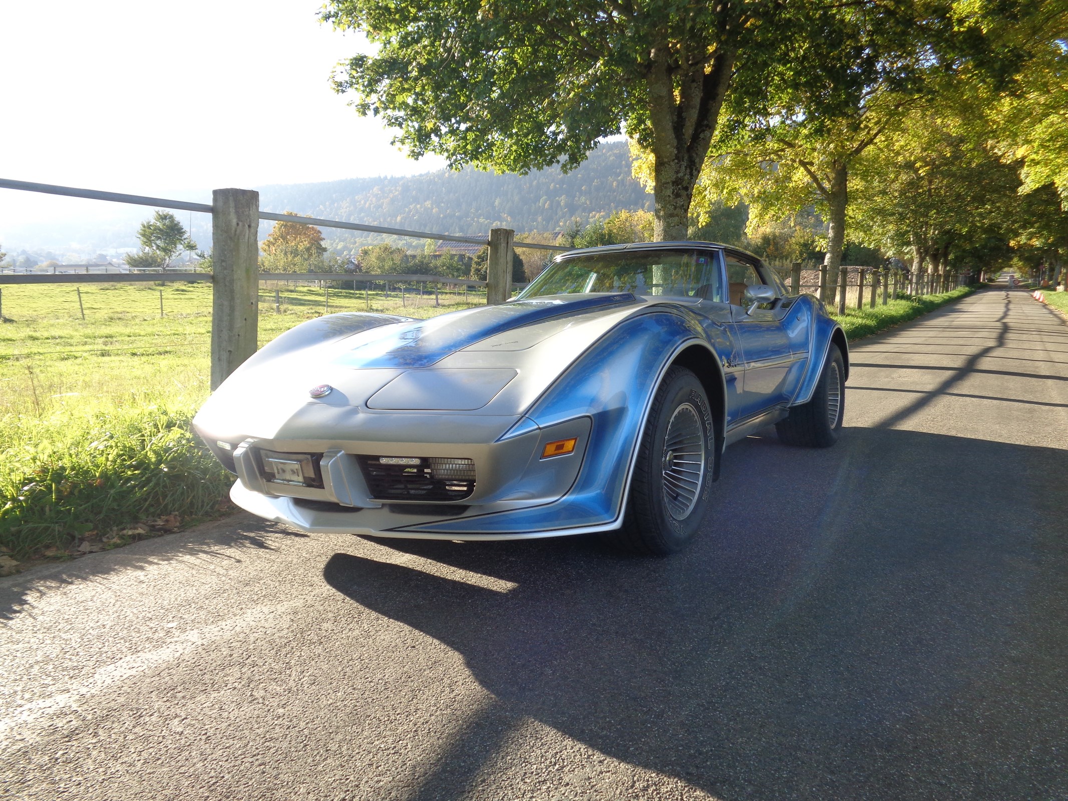 CHEVROLET CORVETTE C3 Stingray Targa