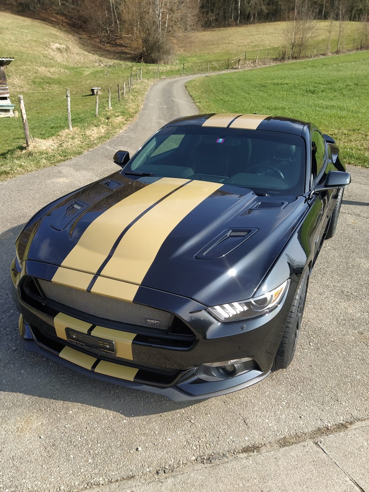 FORD Mustang Fastback 5.0 V8 GT Automat