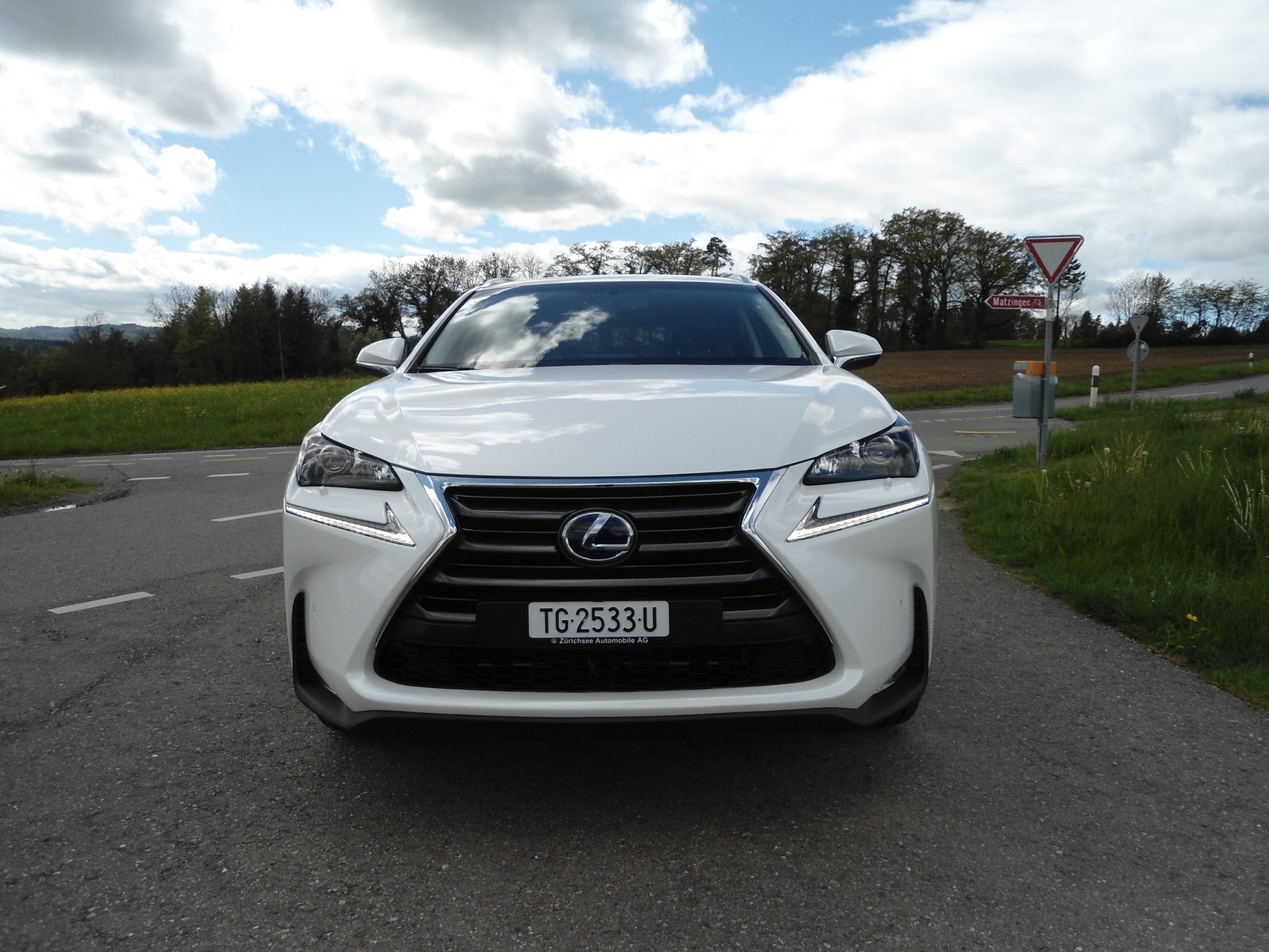 LEXUS NX 300h comfort E-Four Automatic