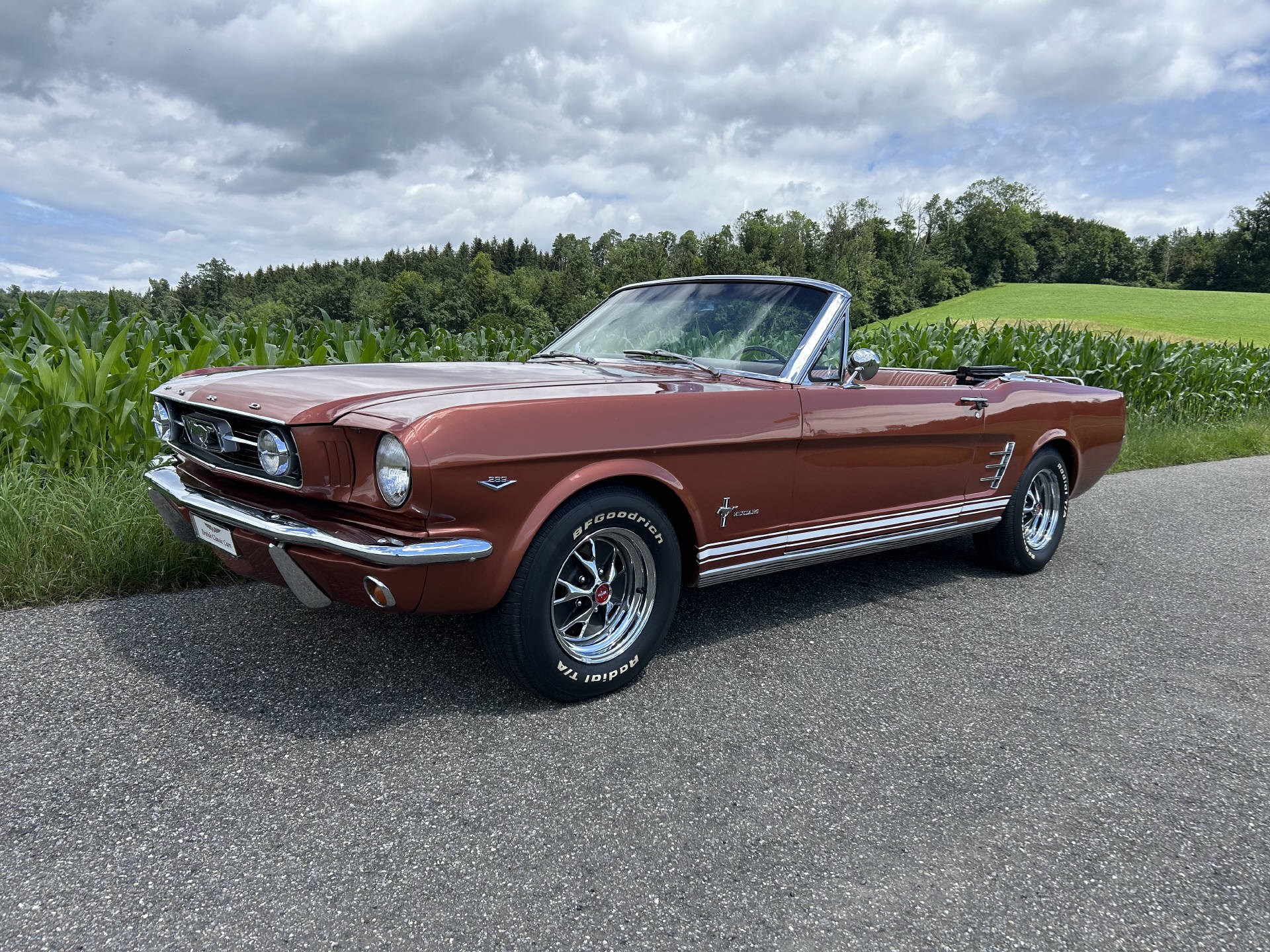 FORD MUSTANG Convertible