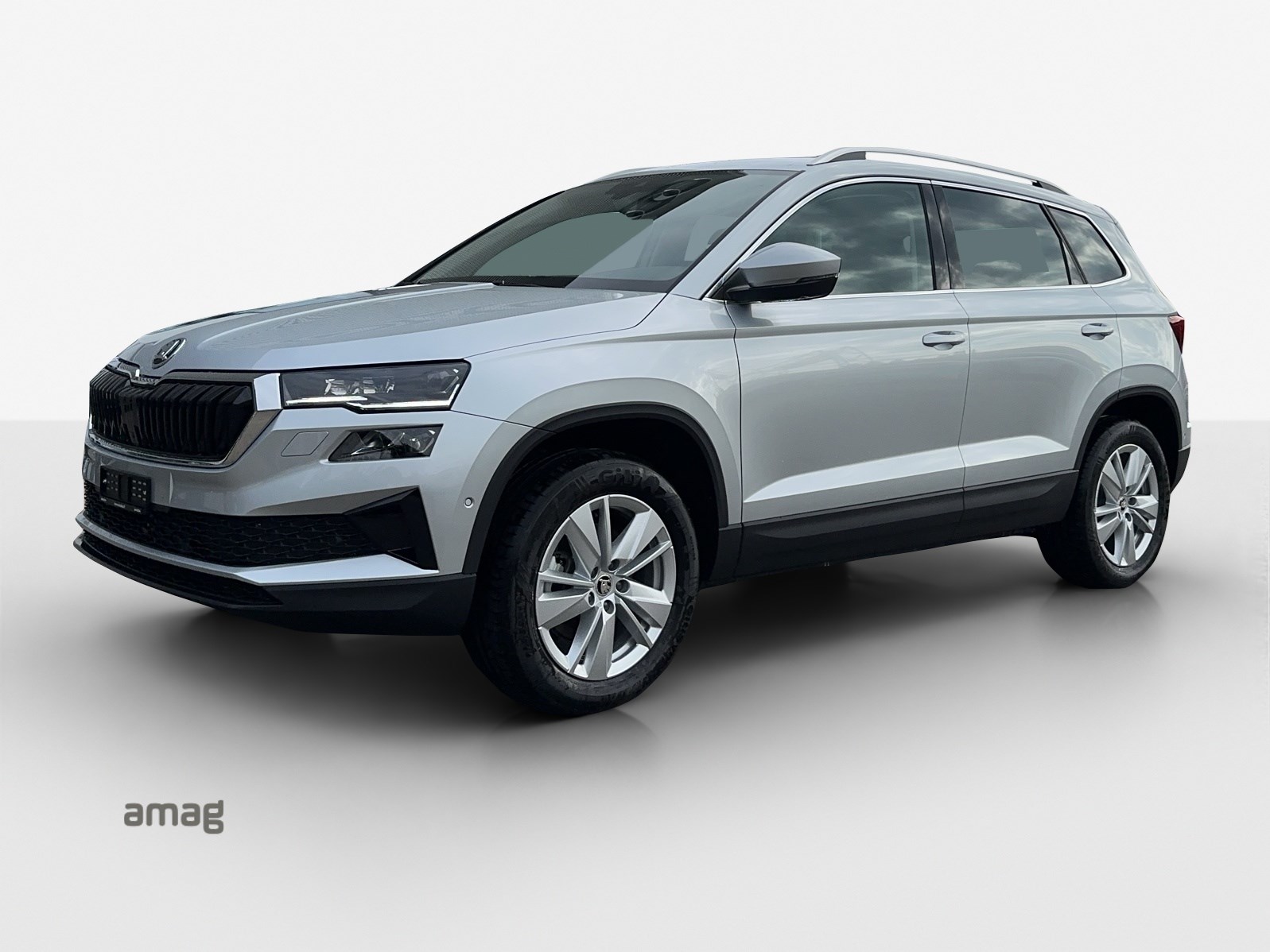 SKODA Karoq 2.0 TDI CR Selection 4x4 DSG