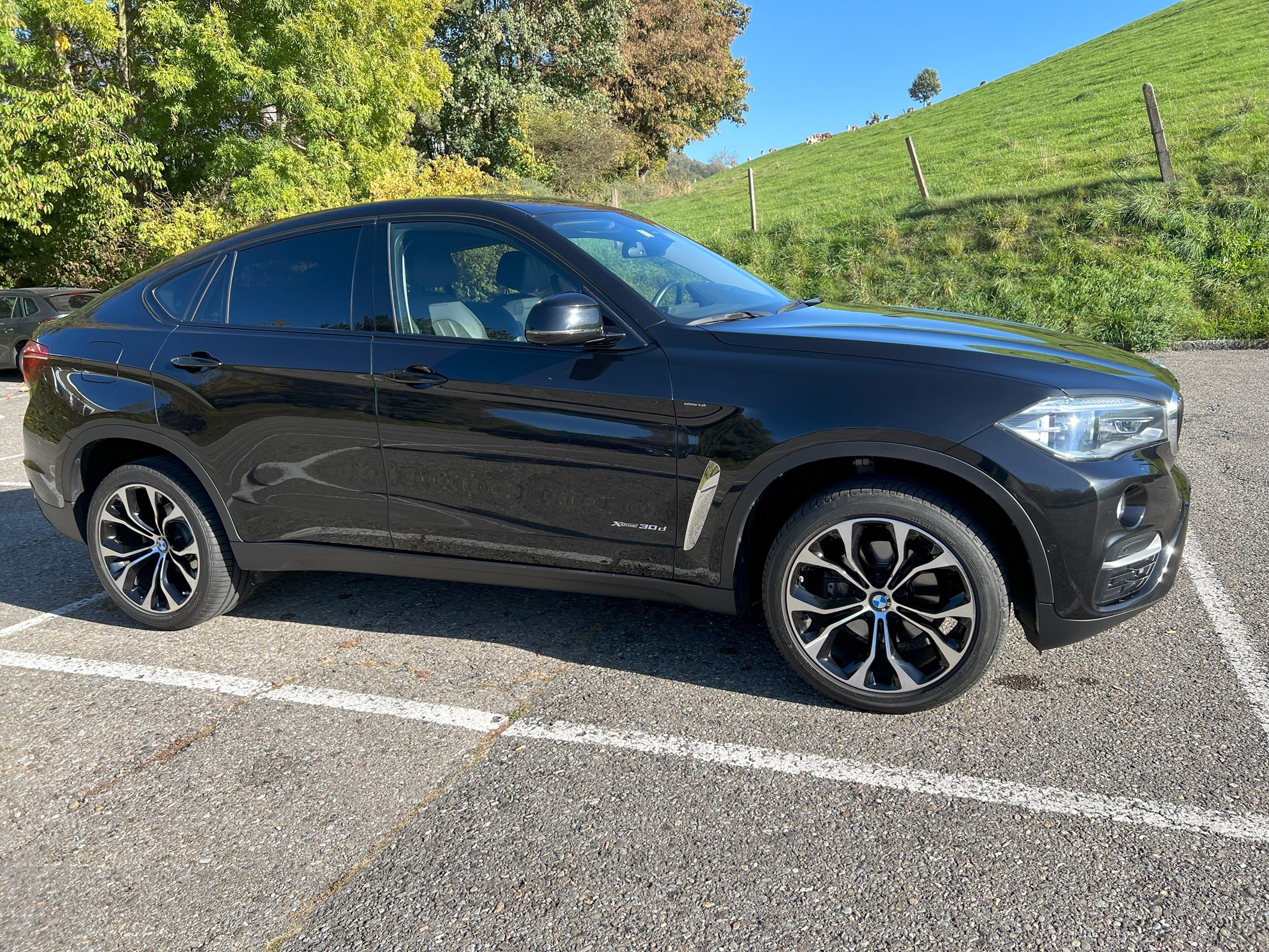 BMW X6 xDrive 30d Steptronic