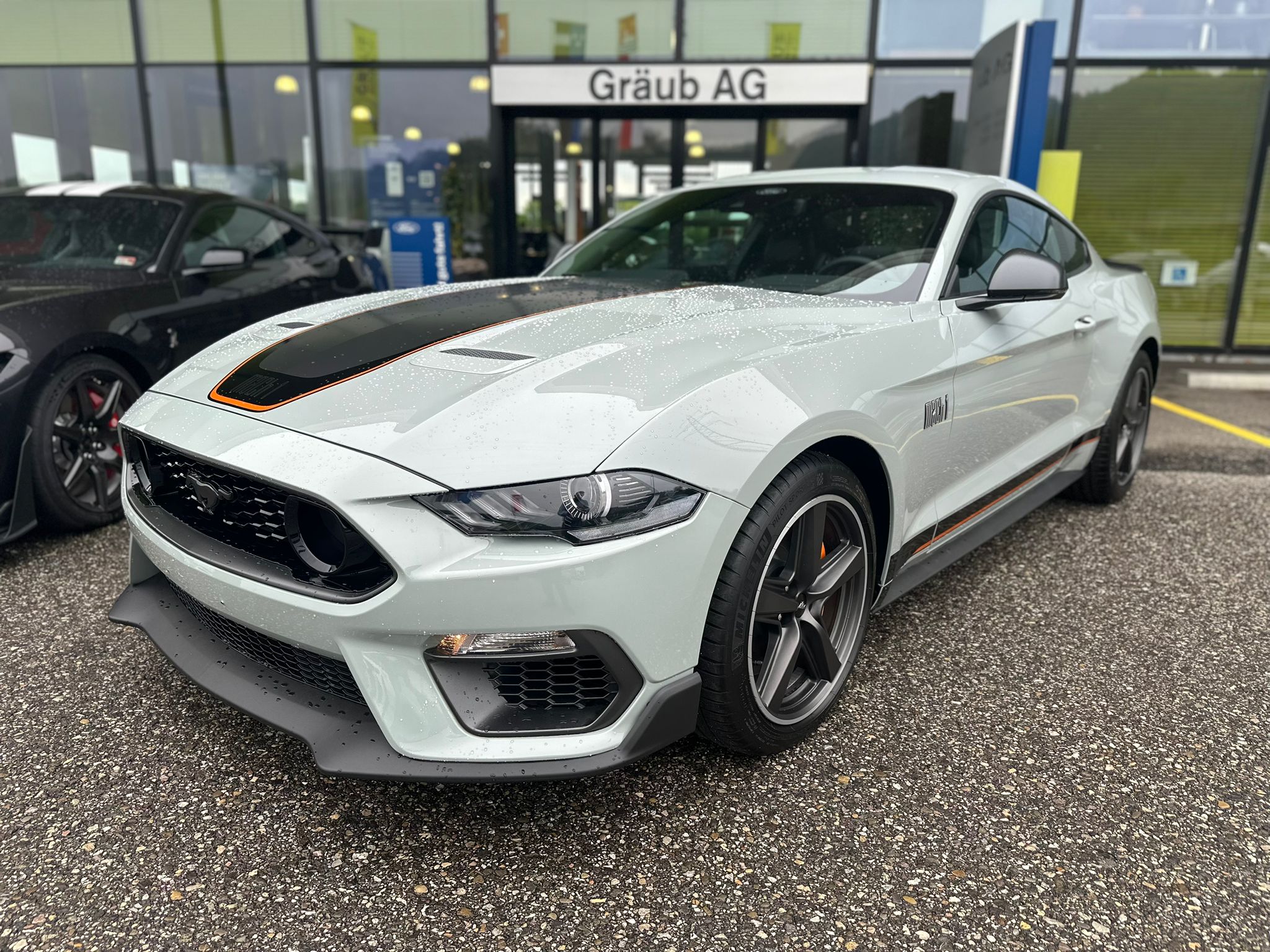 FORD Mustang Fastback 5.0 V8 Mach 1 manuell NEUWAGEN