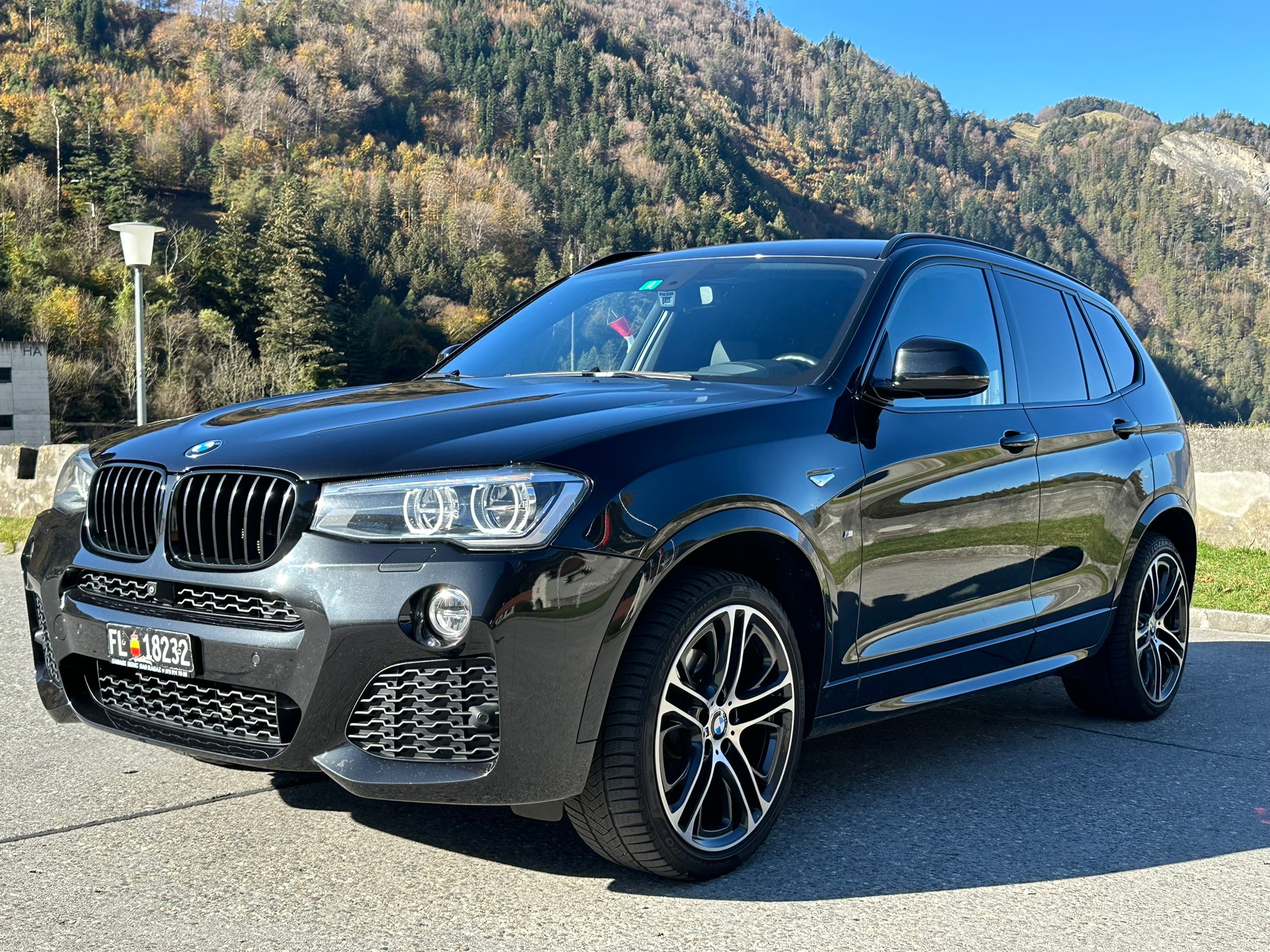 BMW X3 xDrive 20d xLine Steptronic