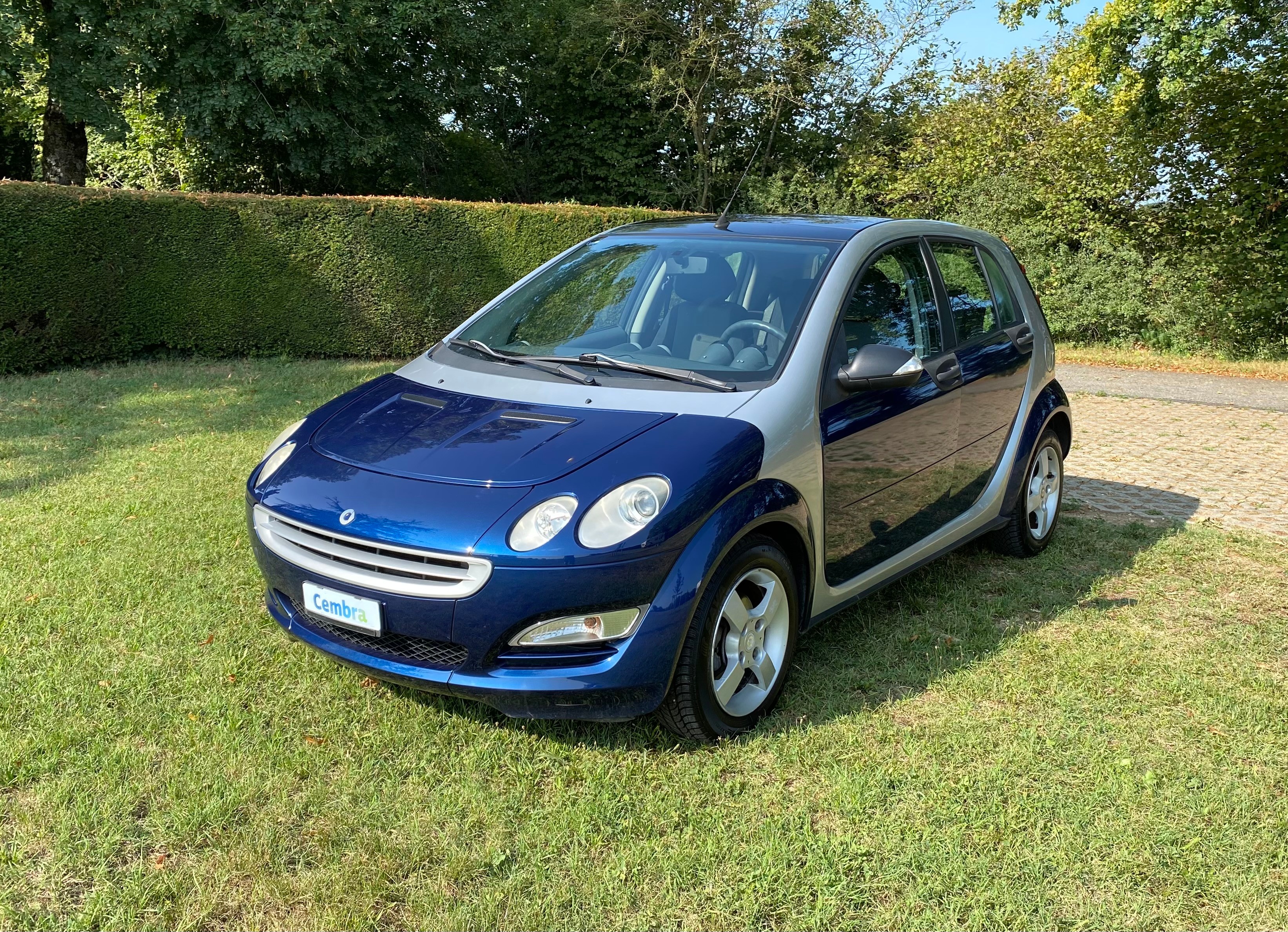 SMART forfour 1.3 passion