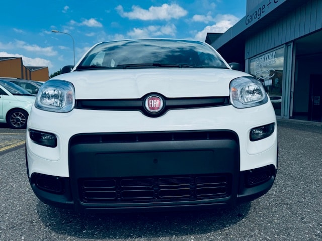 FIAT PANDA CULT PLUS +