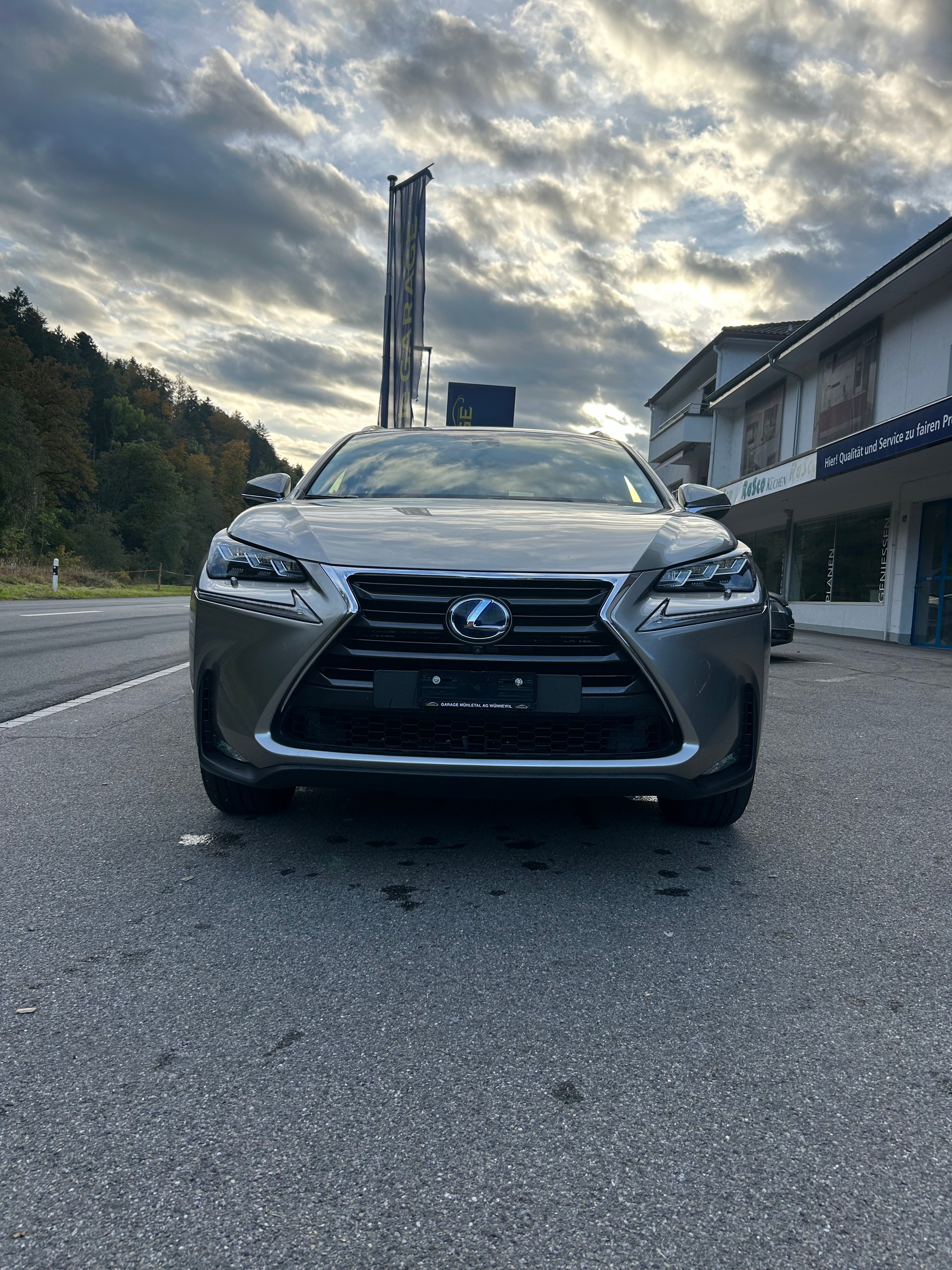 LEXUS NX 300h excellence E-Four Automatic