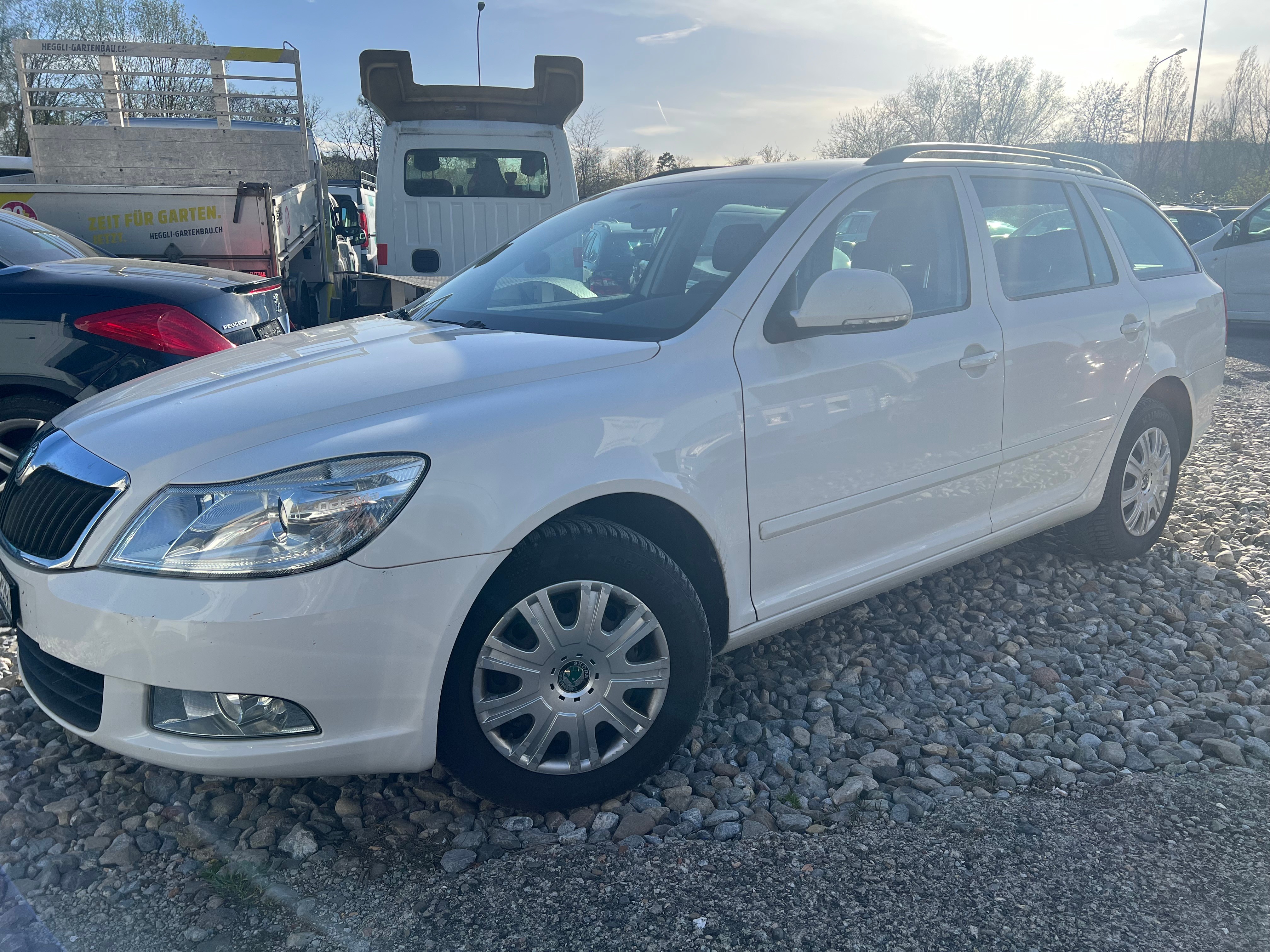 SKODA Octavia Combi 1.6 TDI Swiss Adventure 4x4