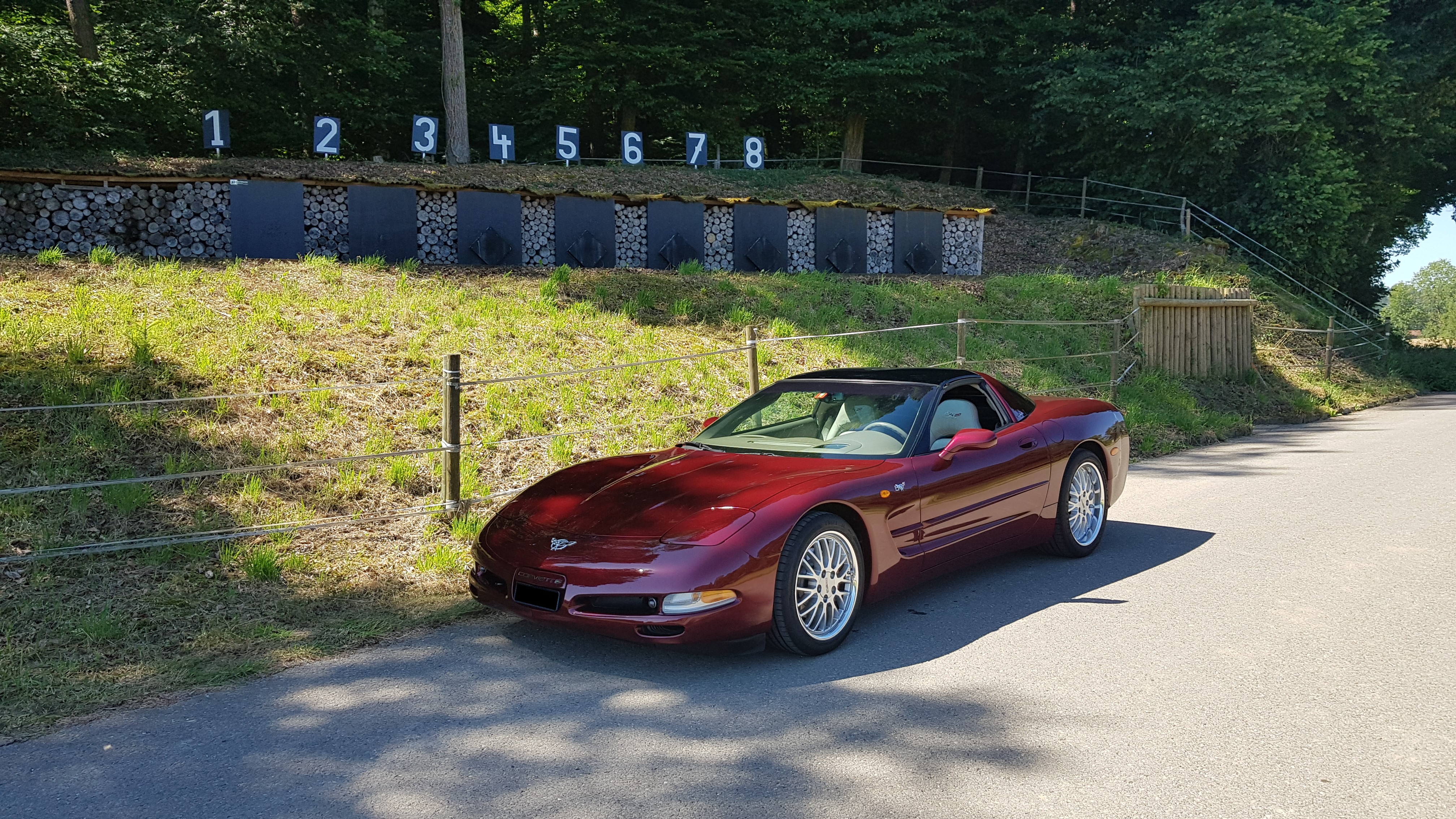 CHEVROLET Corvette 5.7 LS1 50th