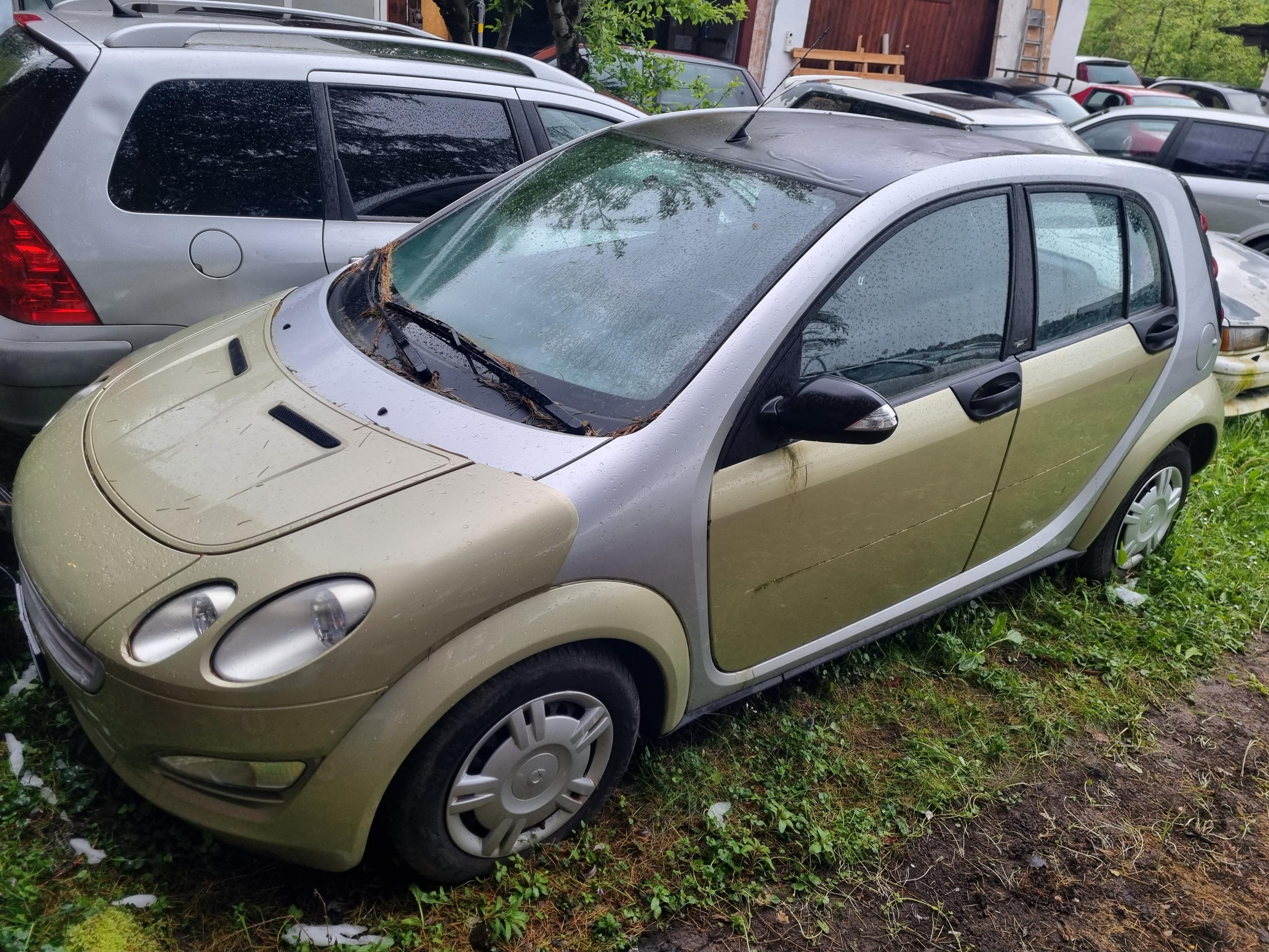 SMART forfour 1.3 pulse