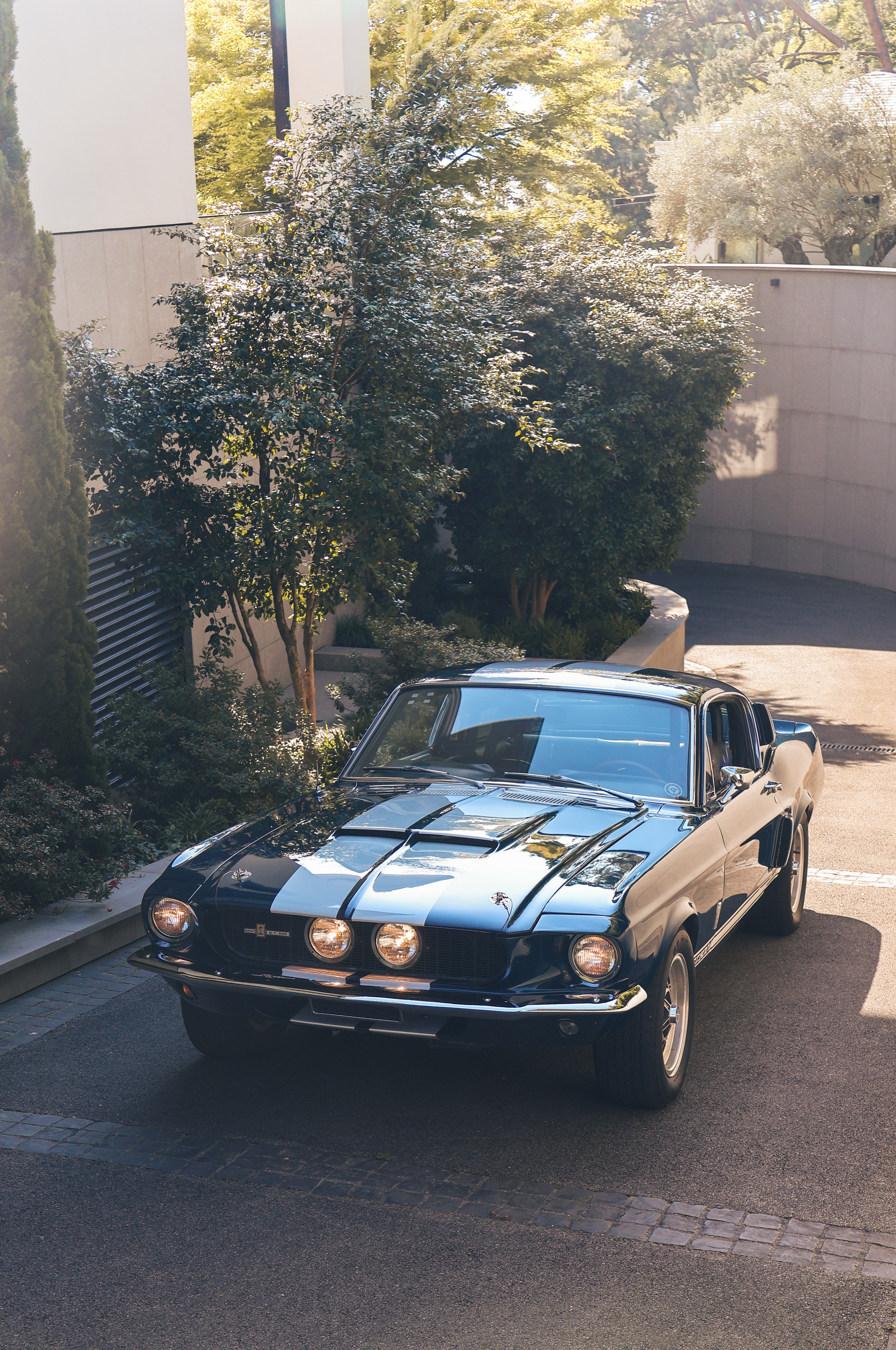 FORD Shelby GT500