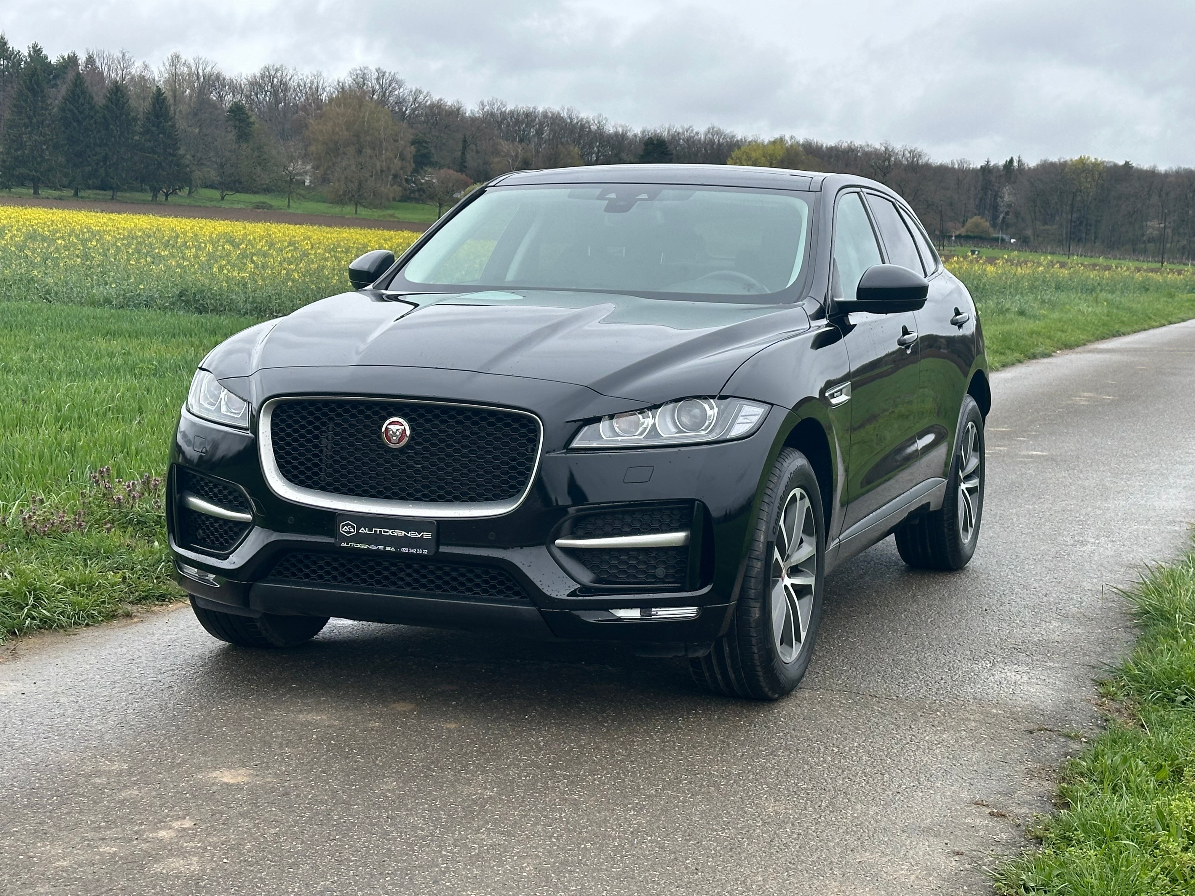 JAGUAR F-Pace 25d R-Sport AWD Automatik