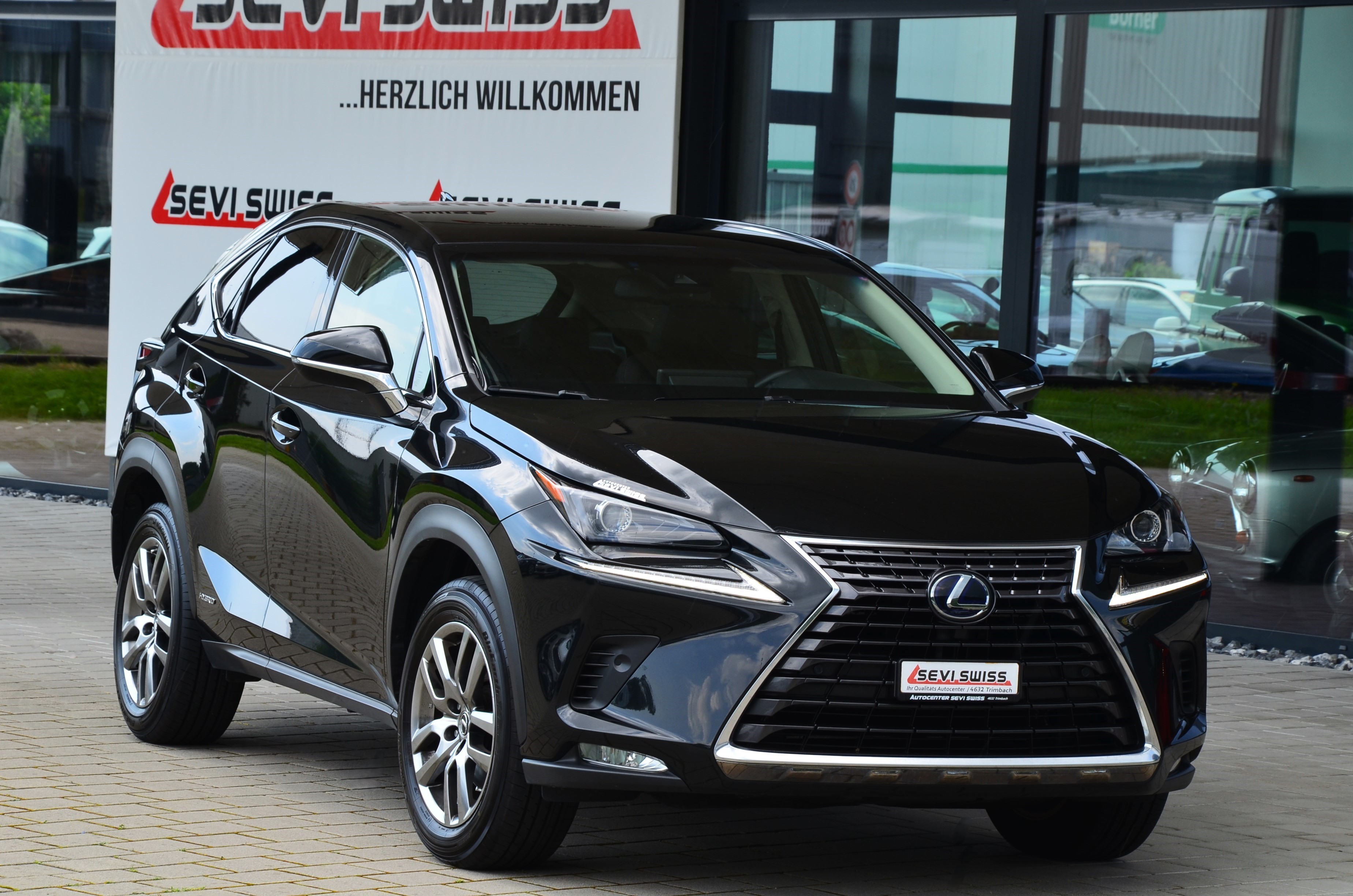 LEXUS NX 300h E-Four Automatic