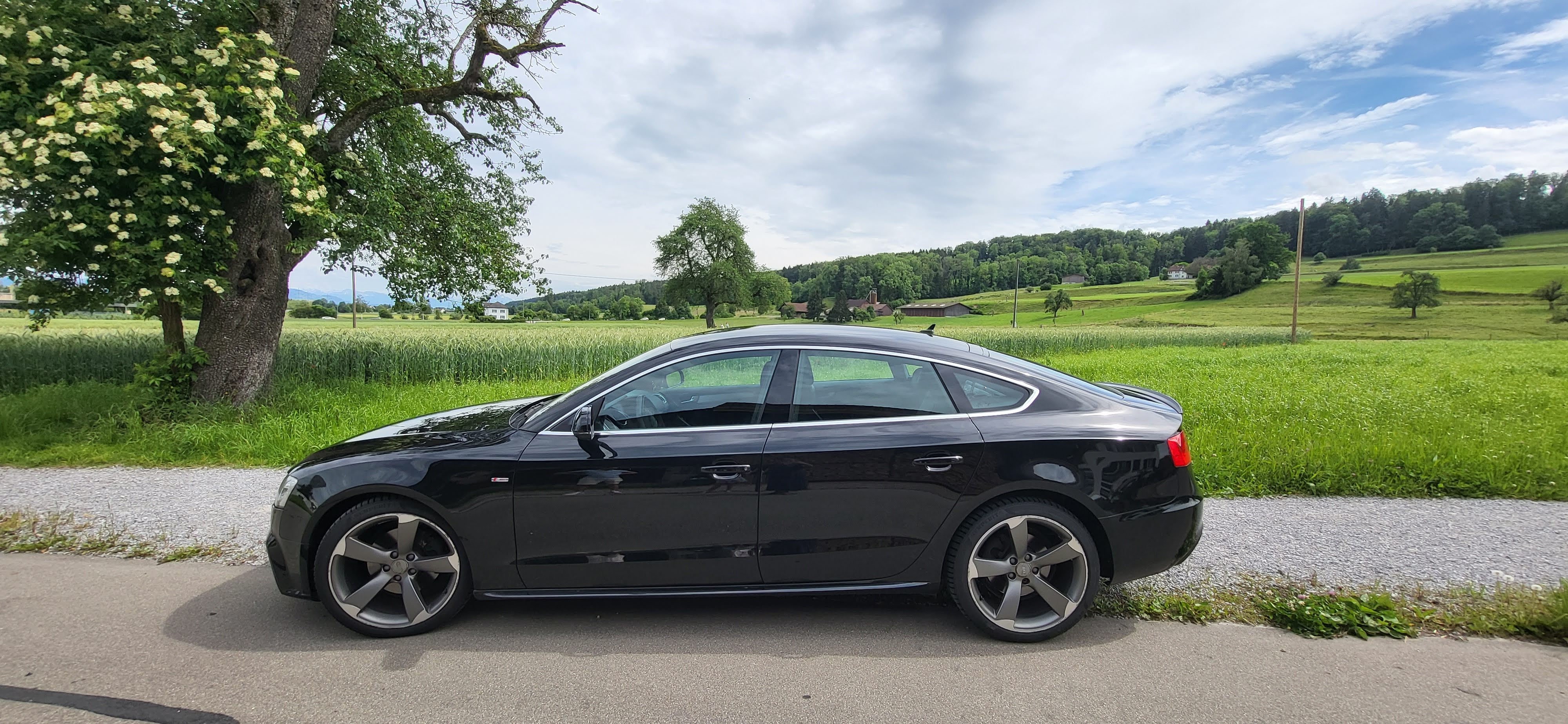 AUDI A5 Sportback 2.0 TDI