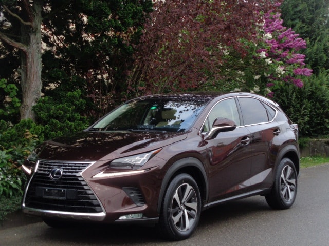 LEXUS NX 300h Excellence E-Four Automatic