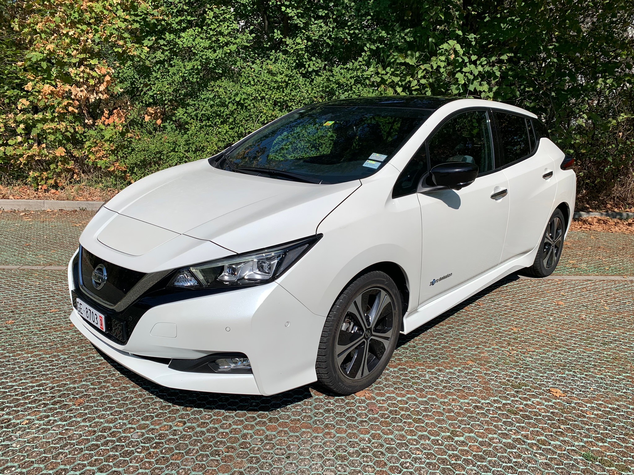 NISSAN Leaf Tekna(incl.battery)