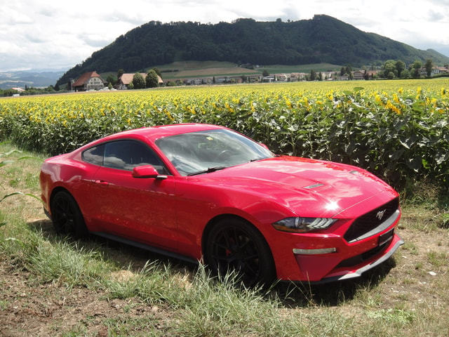 FORD Mustang 2.3 Fastback (Coup)